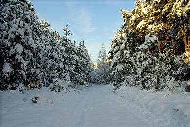 彭博社报道称腾讯正在打造两款类《幻兽帕鲁》手游